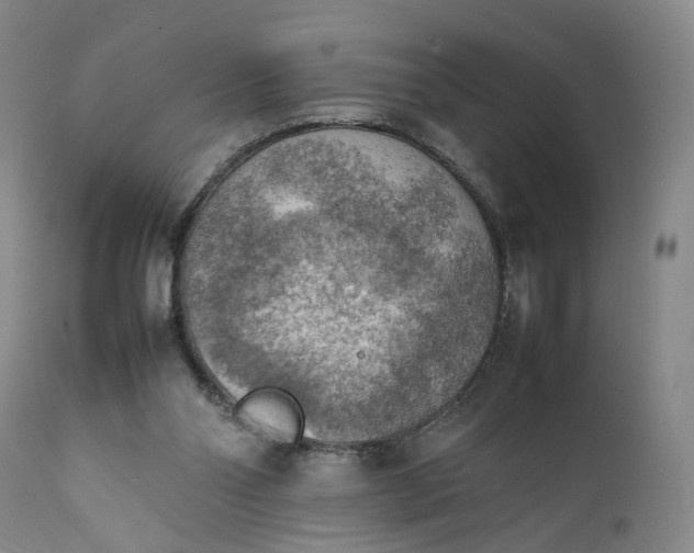 X0000111350110200907241208