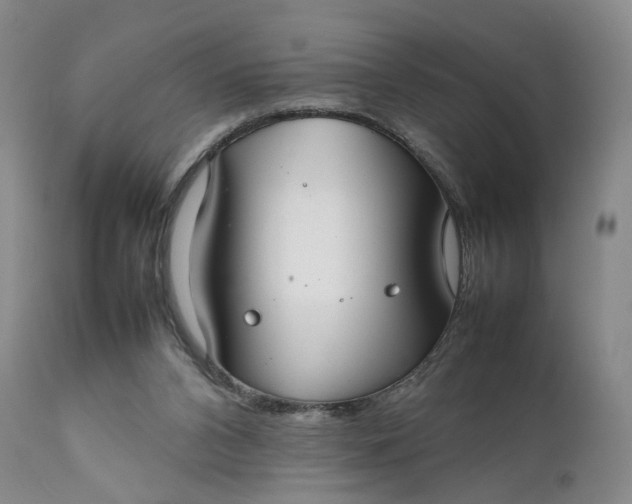 X0000111350112200907241208