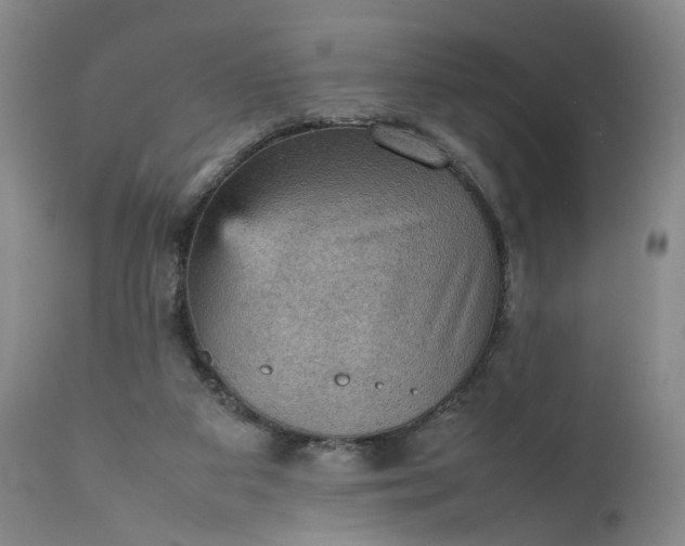 X0000111350113200907241208