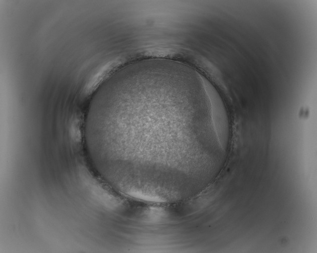 X0000111350114200907241208