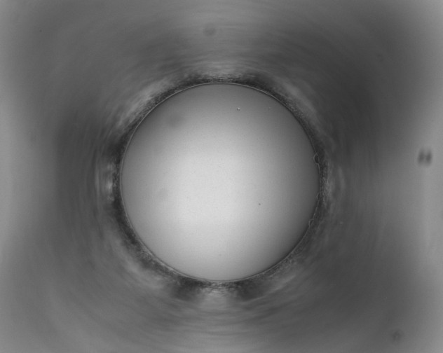 X0000111350115200907241208