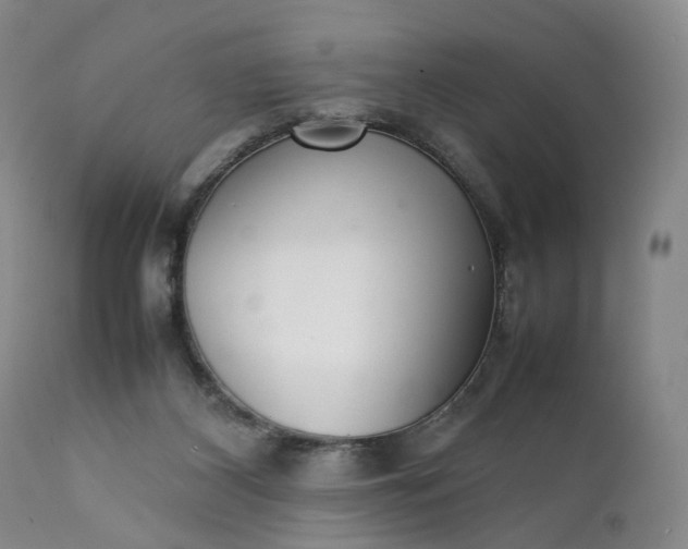 X0000111350116200907241208