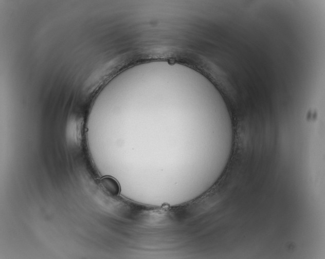 X0000111350118200907241208