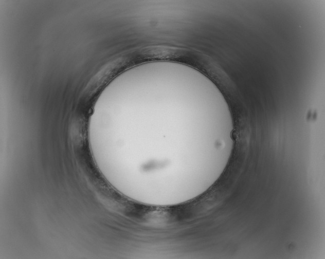 X0000111350119200907241208