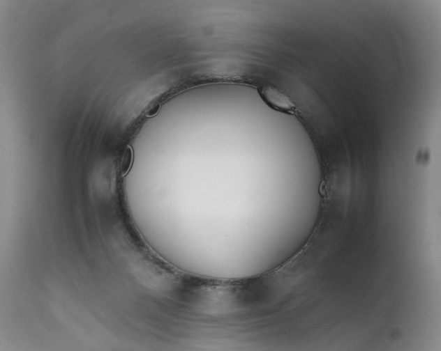 X0000111350120200907241208