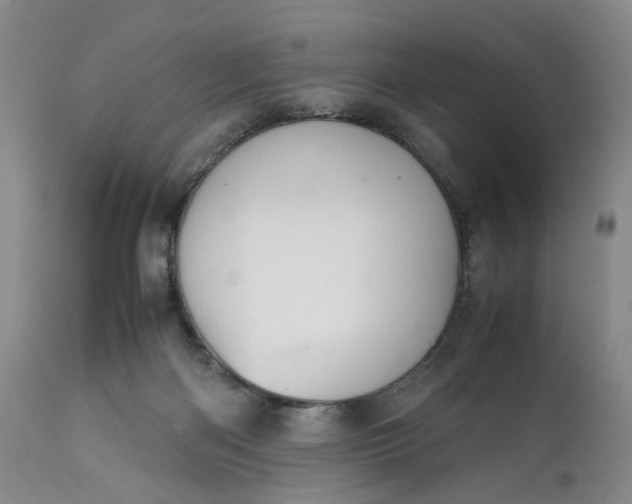 X0000111350122200907241208