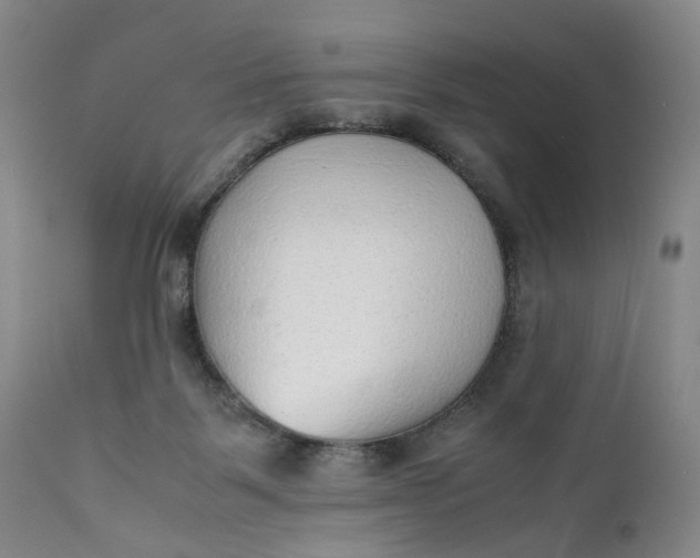 X0000111350123200907241208