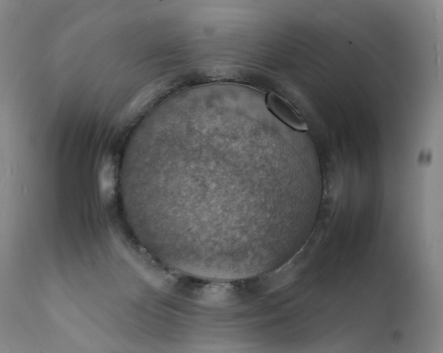 X0000111350124200907241208