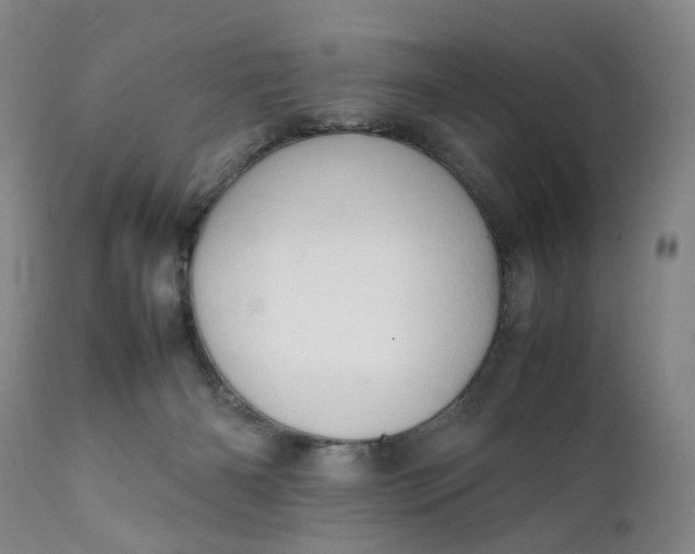 X0000111350126200907241207