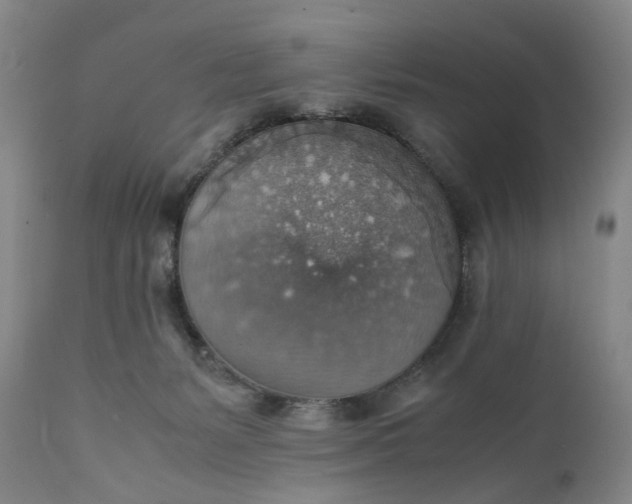 X0000111350127200907241207