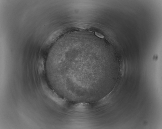 X0000111350128200907241207