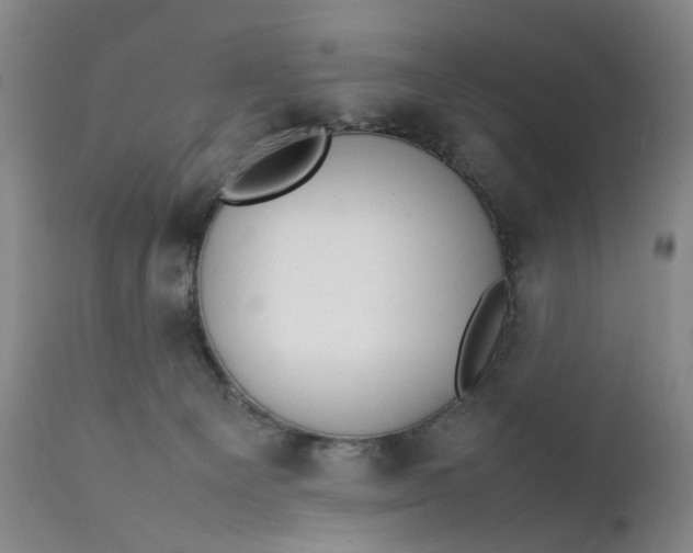 X0000111350129200907241207