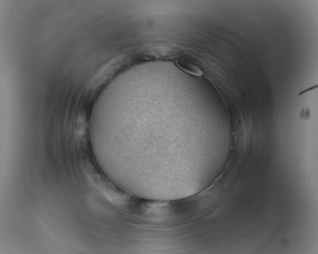 X0000111350132200907241207