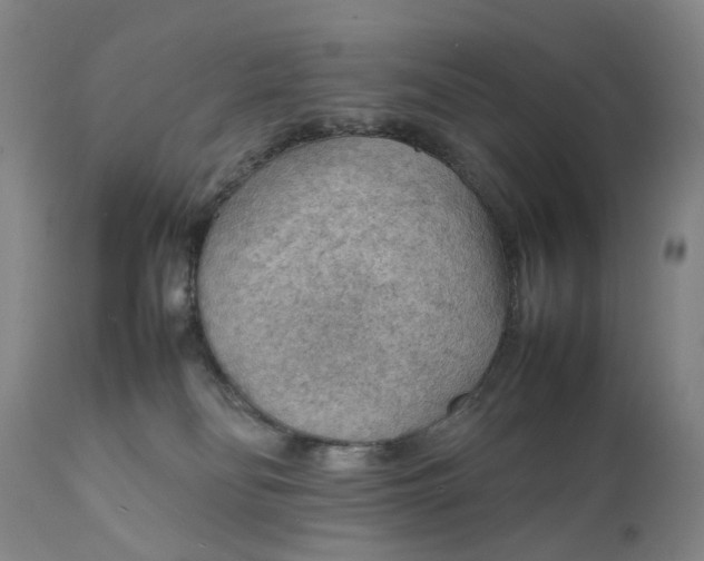 X0000111350134200907241207