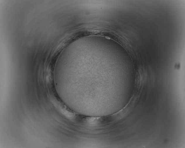 X0000111350136200907241207