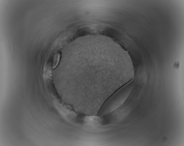 X0000111350137200907241207