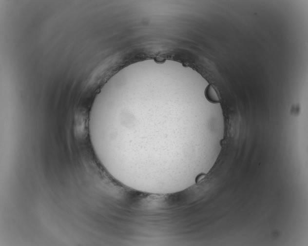 X0000111350138200907241207