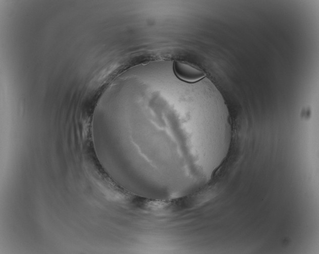 X0000111350139200907241207