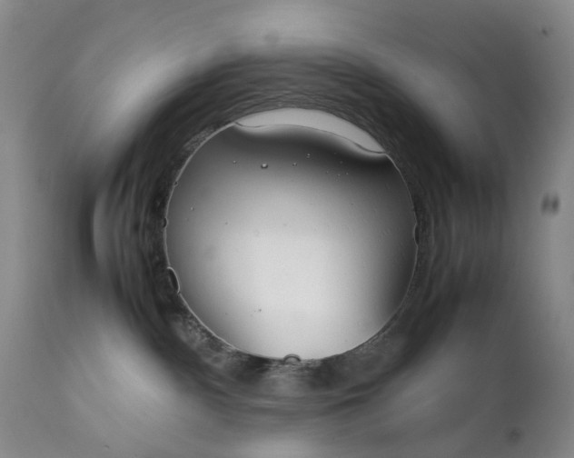 X0000111350140200907241207