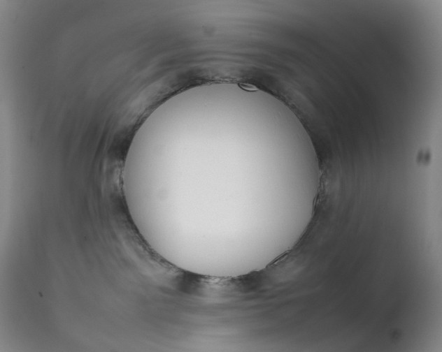 X0000111350141200907241207