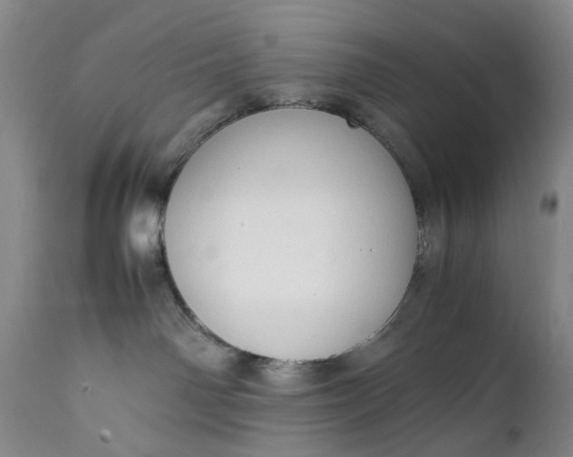 X0000111350142200907241207