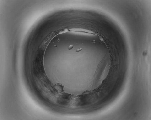 X0000111350143200907241207