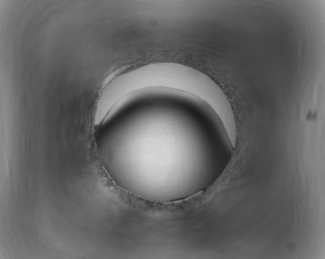 X0000111350144200907241207