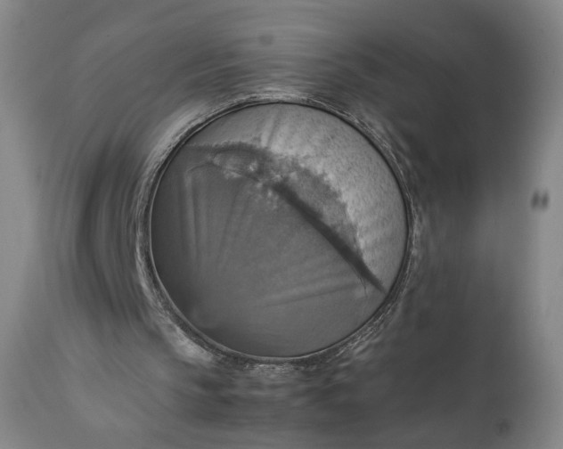 X0000111350145200907241206