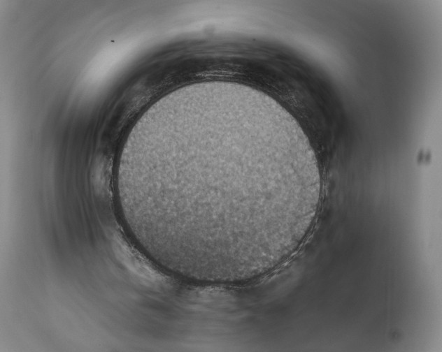 X0000111350146200907241206