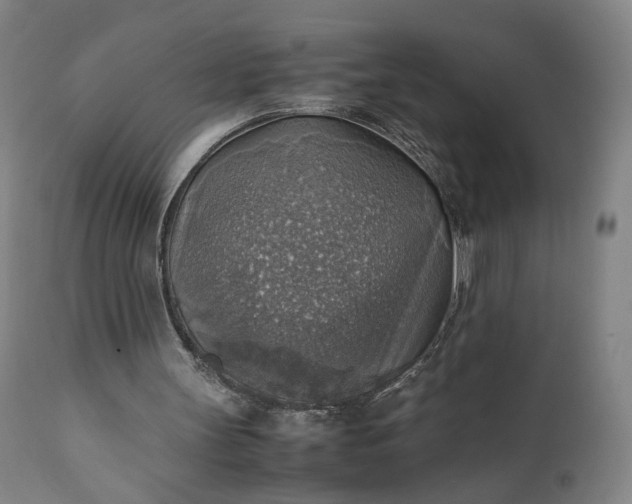 X0000111350147200907241206