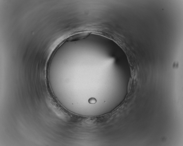 X0000111350148200907241206