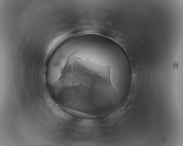 X0000111350149200907241206