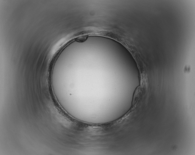 X0000111350150200907241206