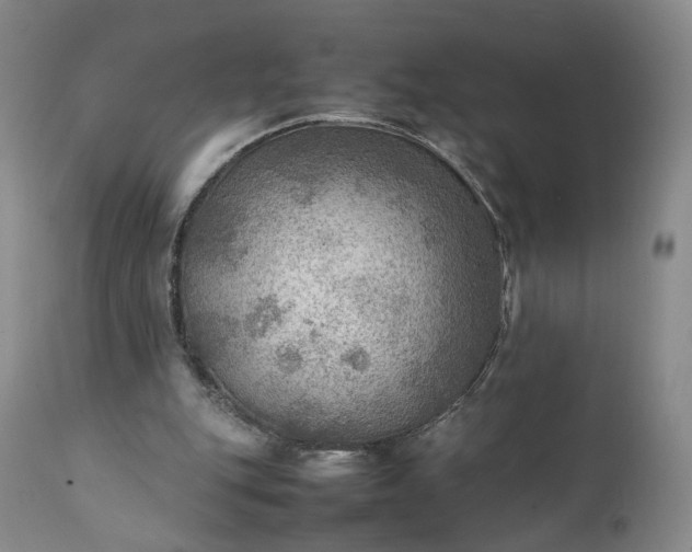 X0000111350151200907241206