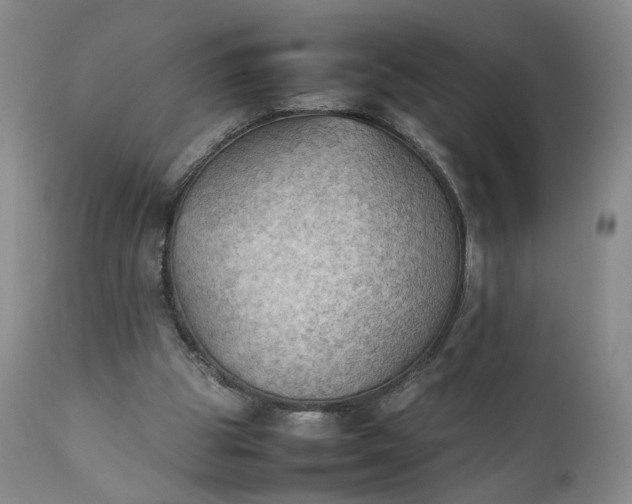 X0000111350153200907241206