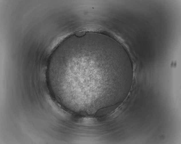 X0000111350154200907241206