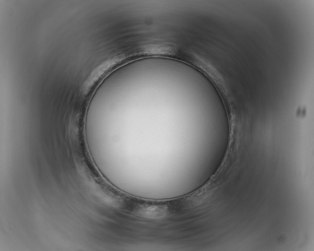 X0000111350155200907241206