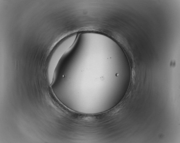 X0000111350156200907241206