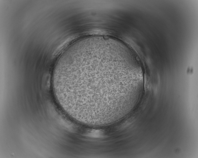 X0000111350157200907241207