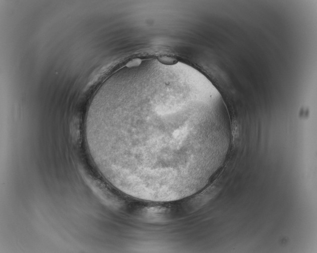 X0000111350158200907241207