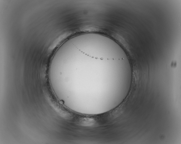 X0000111350159200907241207