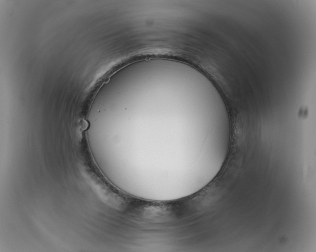 X0000111350160200907241207