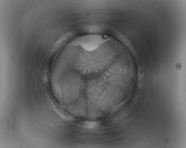 X0000111350161200907241207