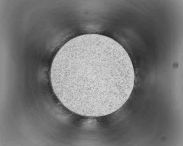 X0000111350162200907241207