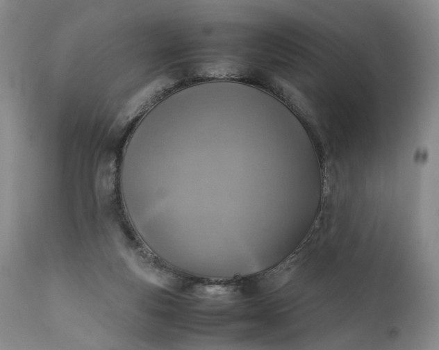 X0000111350163200907241207