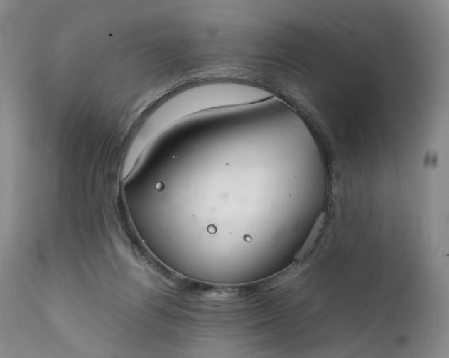 X0000111350164200907241207