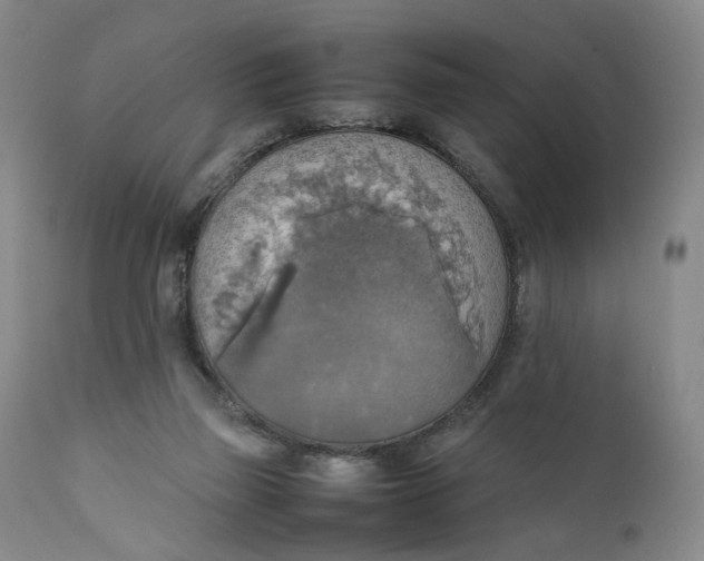 X0000111350165200907241207