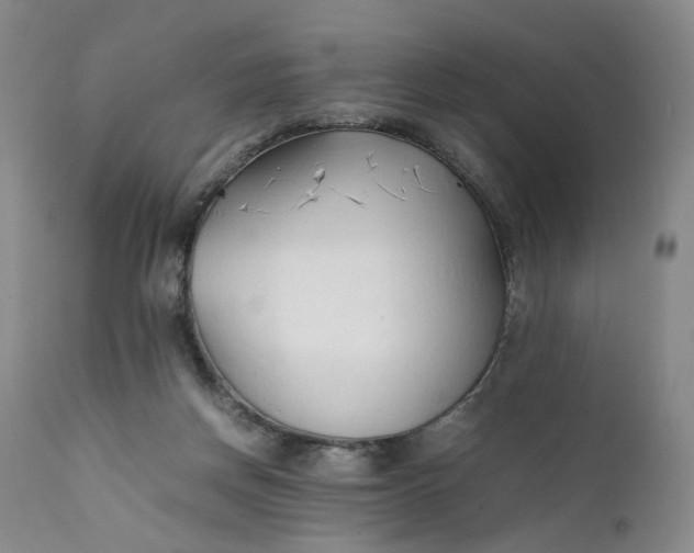 X0000111350166200907241207