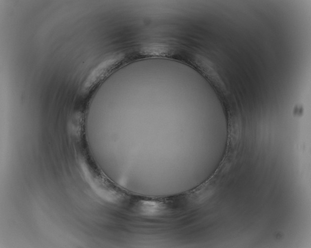 X0000111350167200907241207