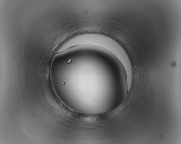 X0000111350168200907241207